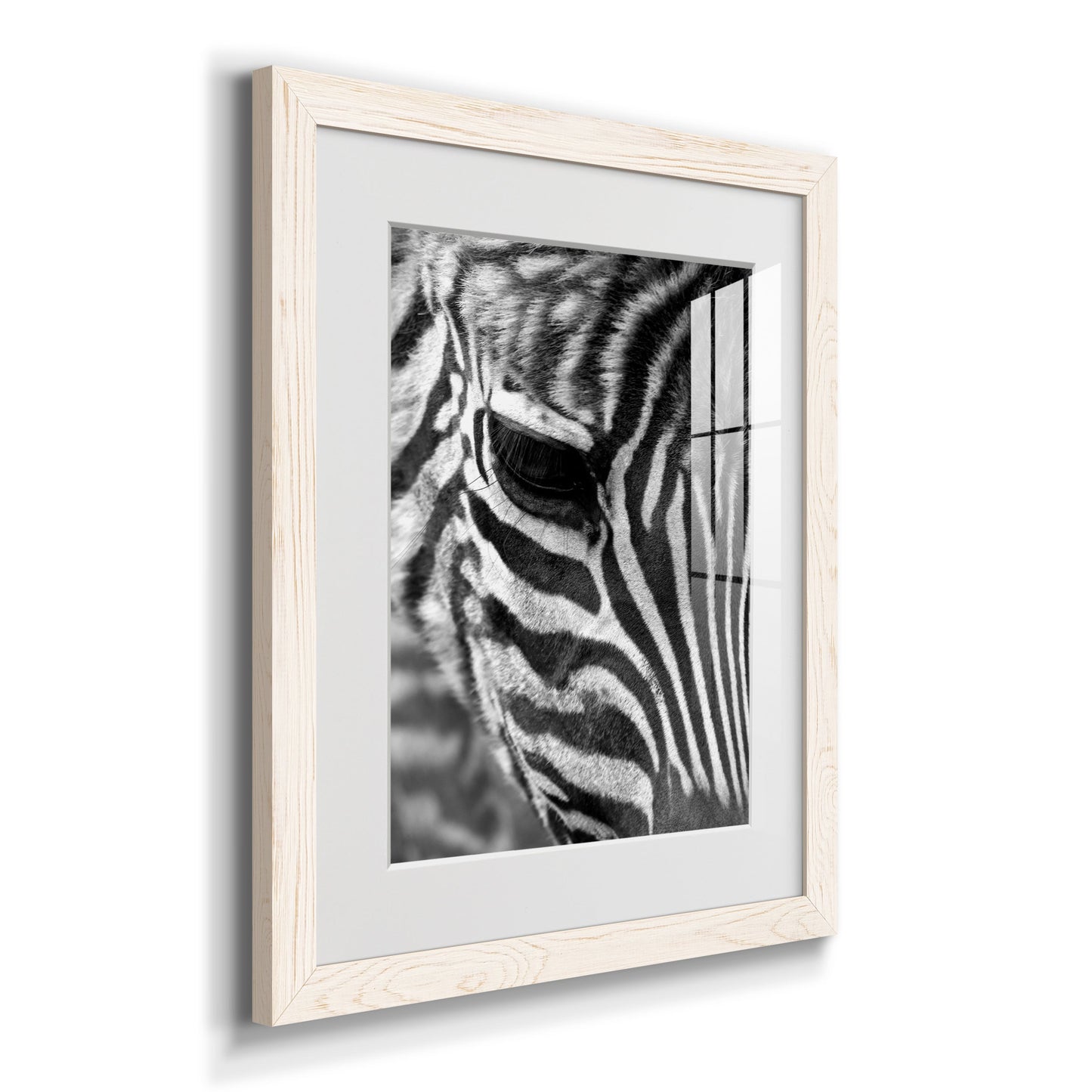 Zebra Colt - Premium Framed Print - Distressed Barnwood Frame - Ready to Hang