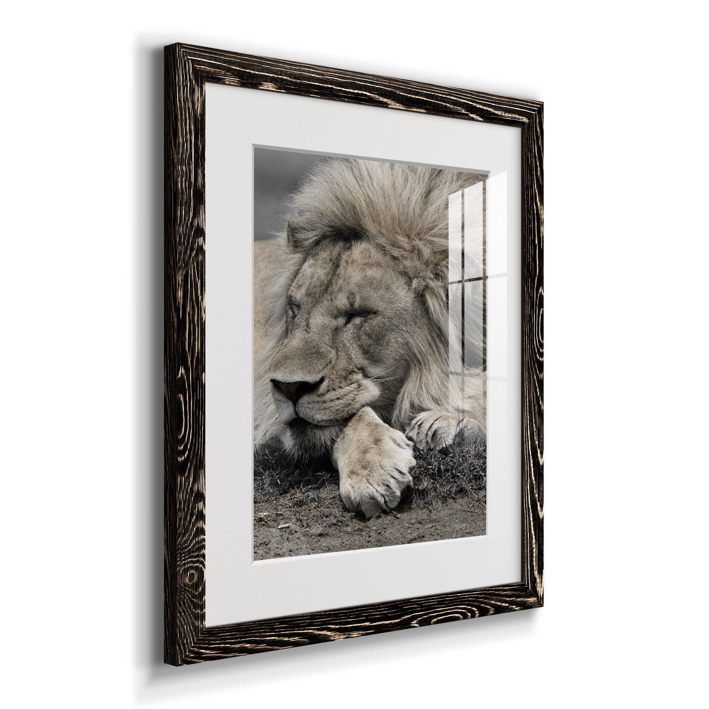 Sleepy Afternoon in Masai Mara - Premium Framed Print - Distressed Barnwood Frame - Ready to Hang