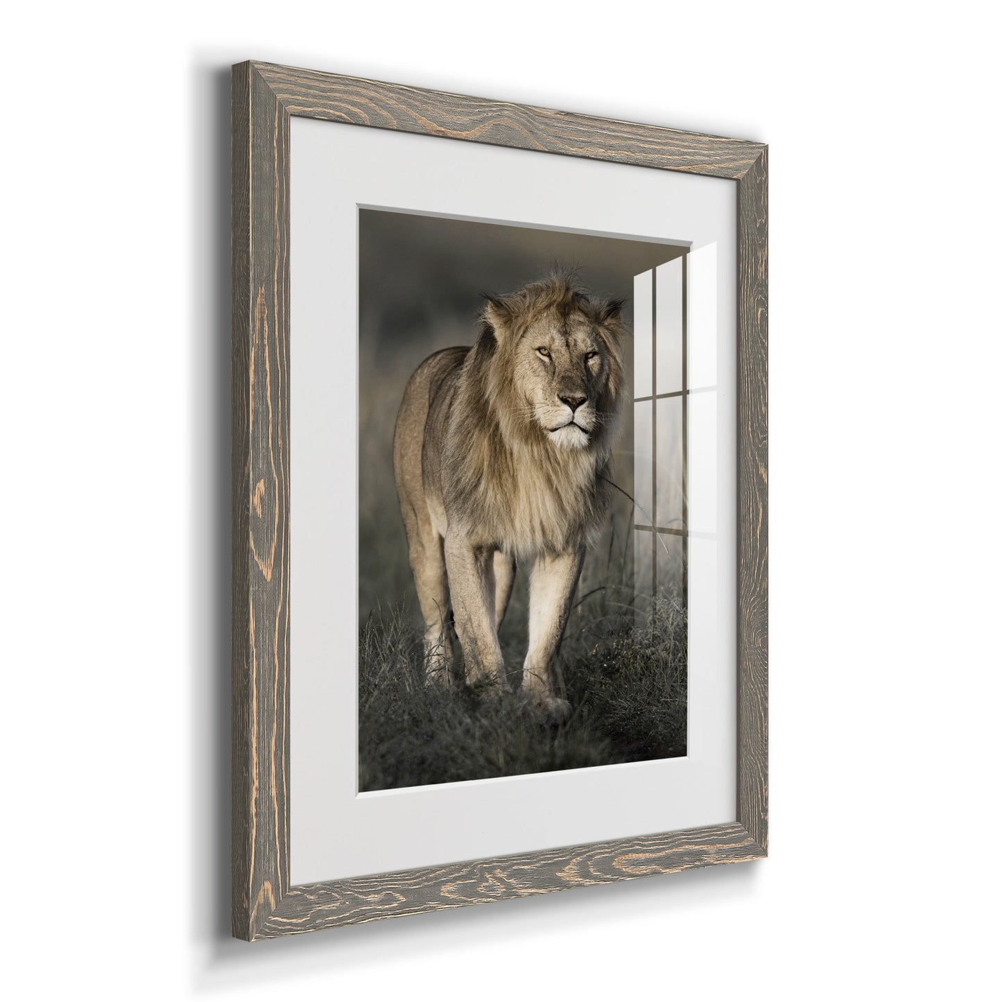 Morning Walk in Masai Mara - Premium Framed Print - Distressed Barnwood Frame - Ready to Hang