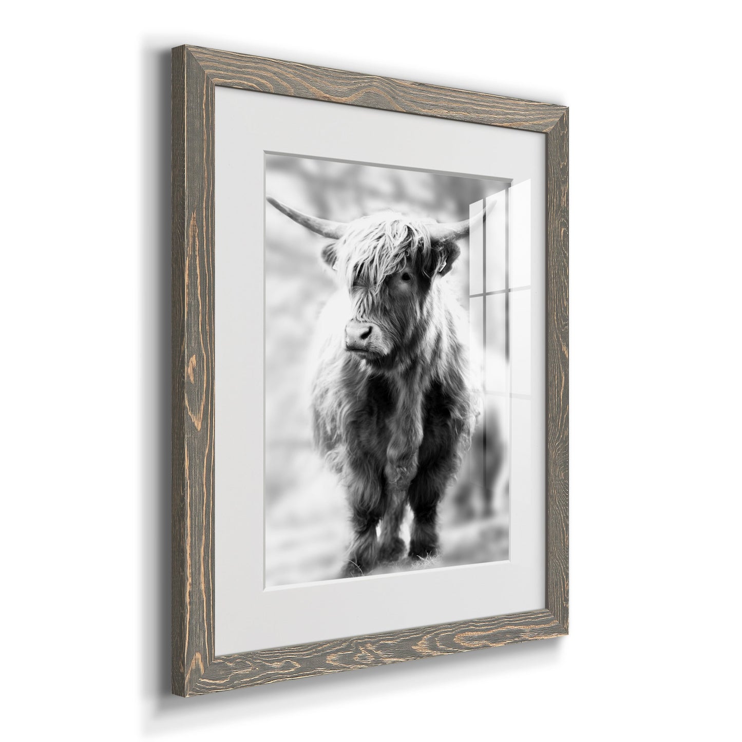 Yorkshire Highland - Premium Framed Print - Distressed Barnwood Frame - Ready to Hang