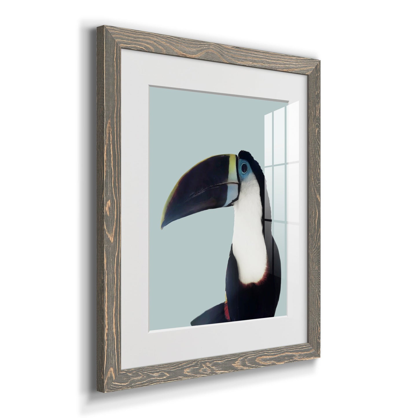 Aruba Wildlife - Premium Framed Print - Distressed Barnwood Frame - Ready to Hang