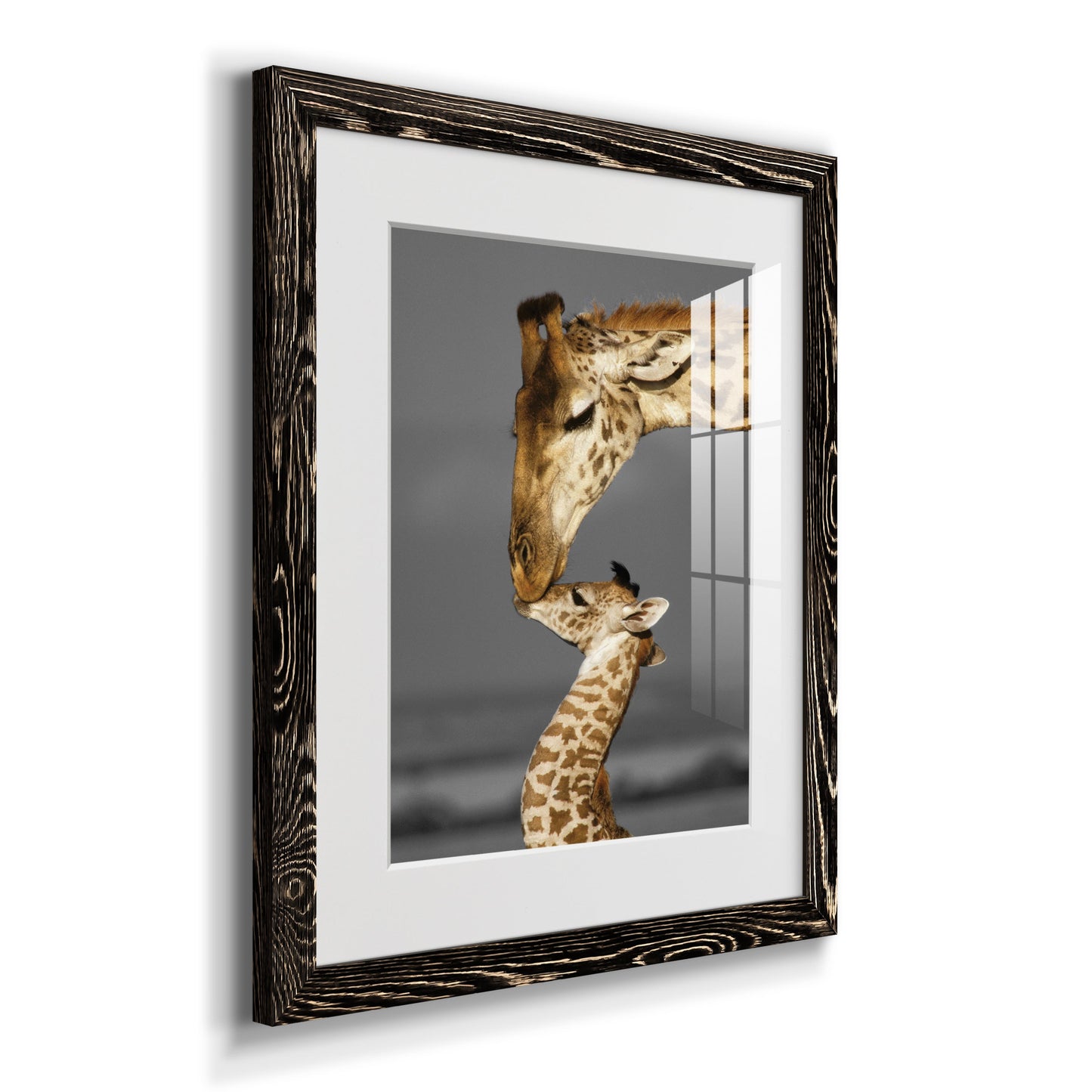 Masai Mara Giraffe Family - Premium Framed Print - Distressed Barnwood Frame - Ready to Hang