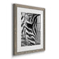 Zebra Colt - Premium Framed Print - Distressed Barnwood Frame - Ready to Hang