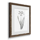 Inky Botanical II - Premium Framed Print - Distressed Barnwood Frame - Ready to Hang