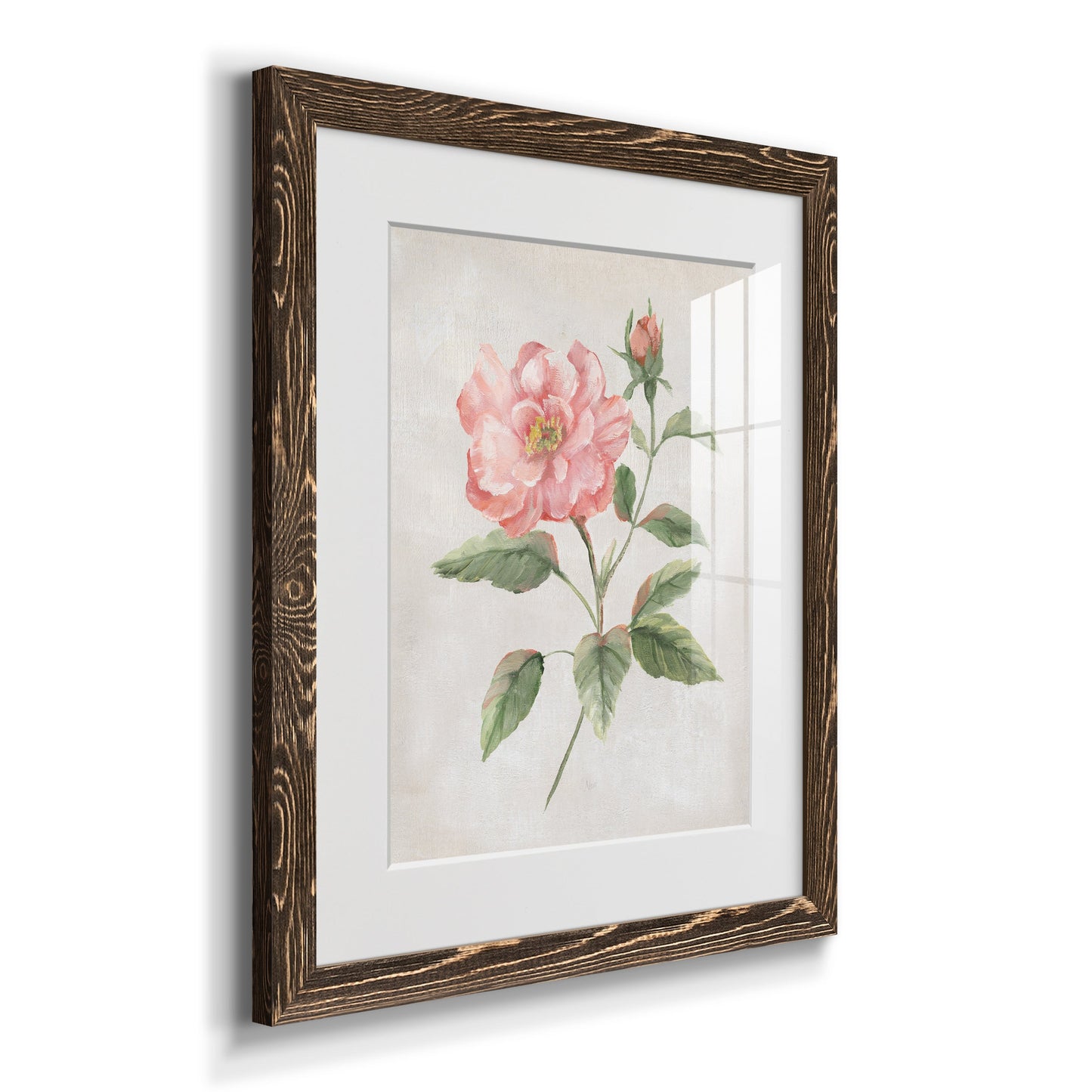 Grandiflora II - Premium Framed Print - Distressed Barnwood Frame - Ready to Hang