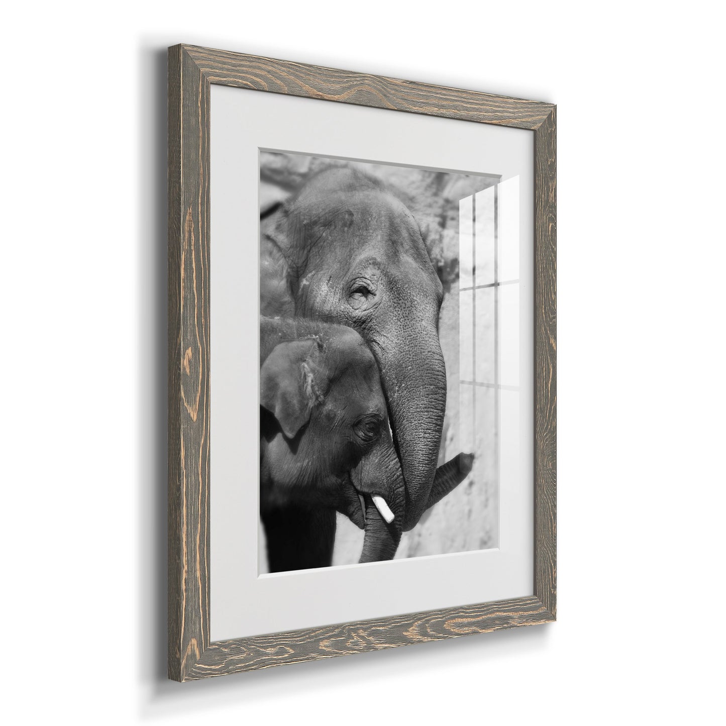 Tender Moment - Premium Framed Print - Distressed Barnwood Frame - Ready to Hang