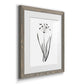 Inky Botanical II - Premium Framed Print - Distressed Barnwood Frame - Ready to Hang