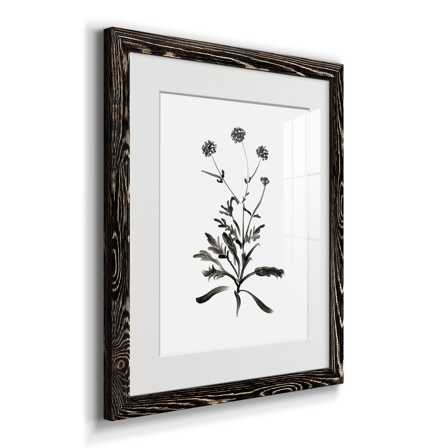 Inky Botanical I - Premium Framed Print - Distressed Barnwood Frame - Ready to Hang