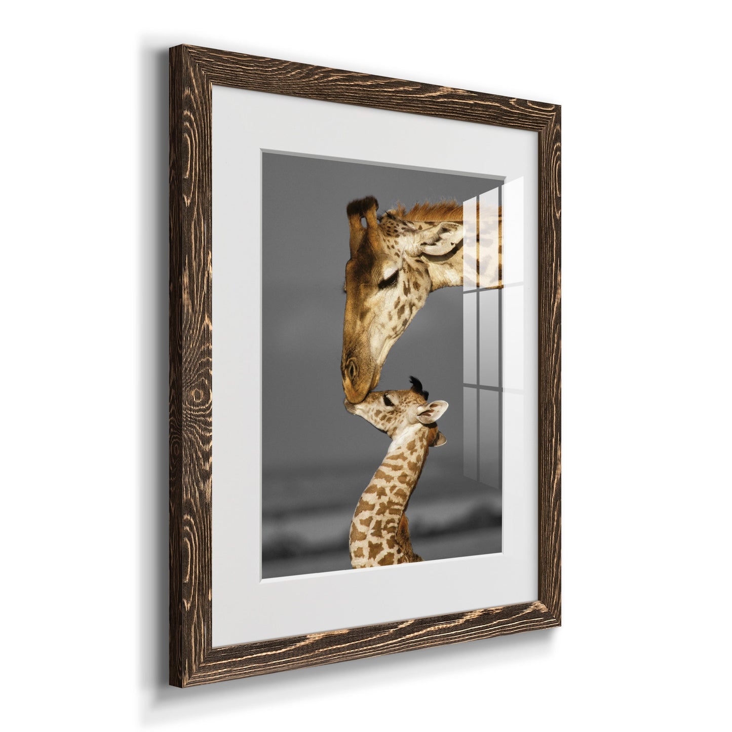 Masai Mara Giraffe Family - Premium Framed Print - Distressed Barnwood Frame - Ready to Hang