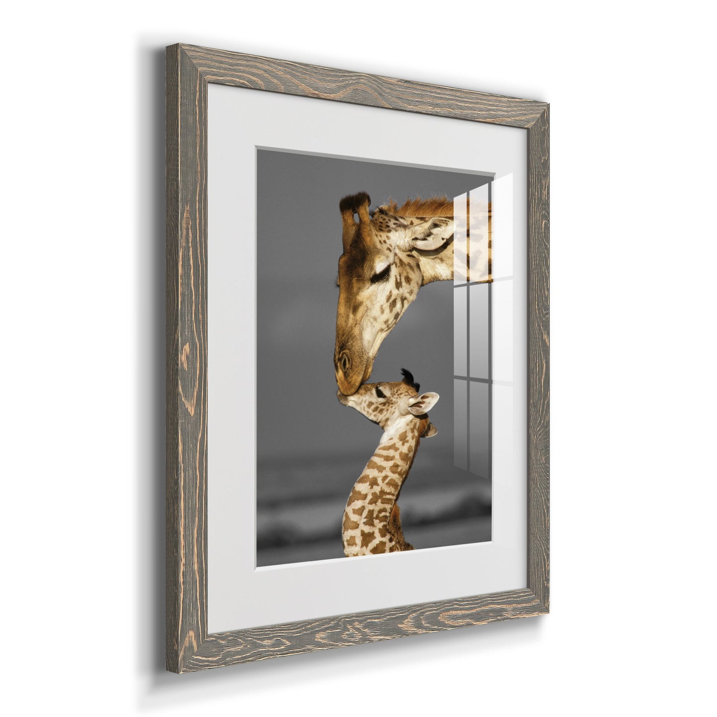 Masai Mara Giraffe Family - Premium Framed Print - Distressed Barnwood Frame - Ready to Hang