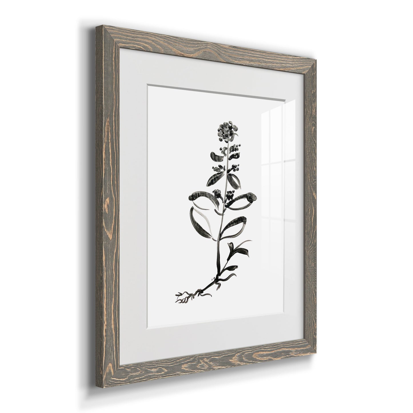 Inky Botanical III - Premium Framed Print - Distressed Barnwood Frame - Ready to Hang