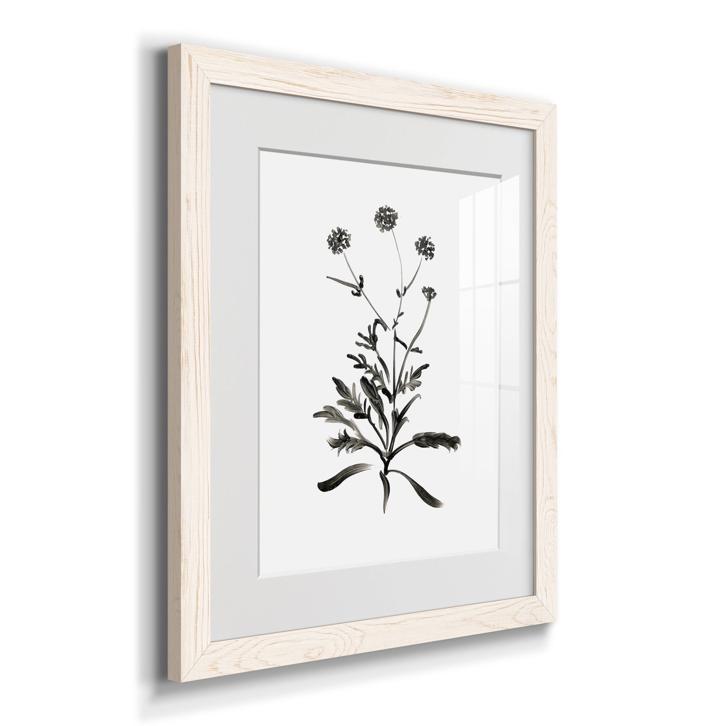 Inky Botanical I - Premium Framed Print - Distressed Barnwood Frame - Ready to Hang