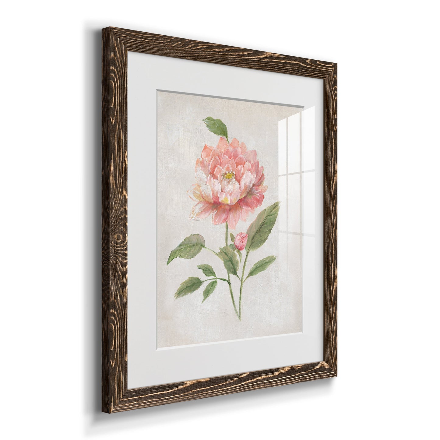 Grandiflora III - Premium Framed Print - Distressed Barnwood Frame - Ready to Hang