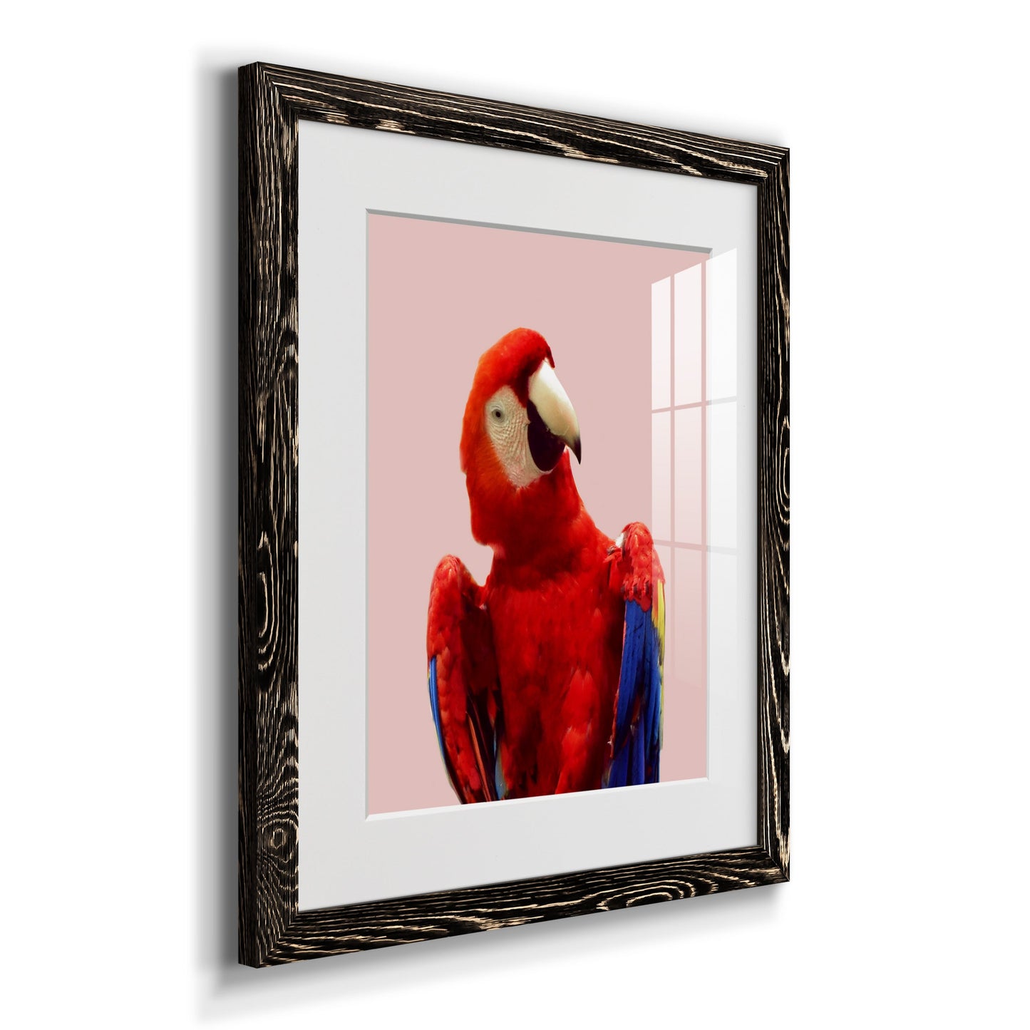 Honduras Wildlife - Premium Framed Print - Distressed Barnwood Frame - Ready to Hang