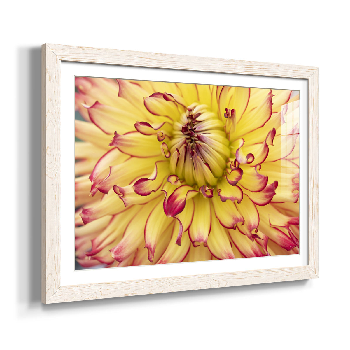 Blooms II - Barnwood Framed Art Print