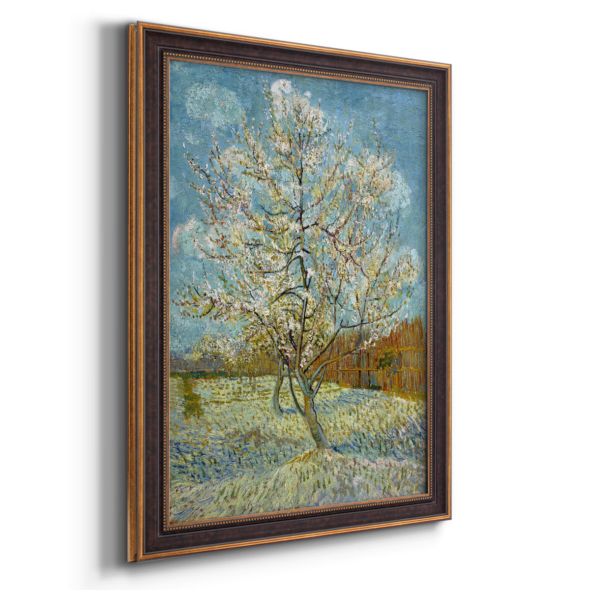  The Pink Peach Tree - Ornate Framed Canvas Print