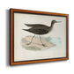 Morris Sandpipers VII Premium Framed Canvas- Ready to Hang