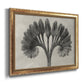 Vintage botanical plant study photograph by Karl Blossfeldt printed on canvas in an ornate vintage gold frame.