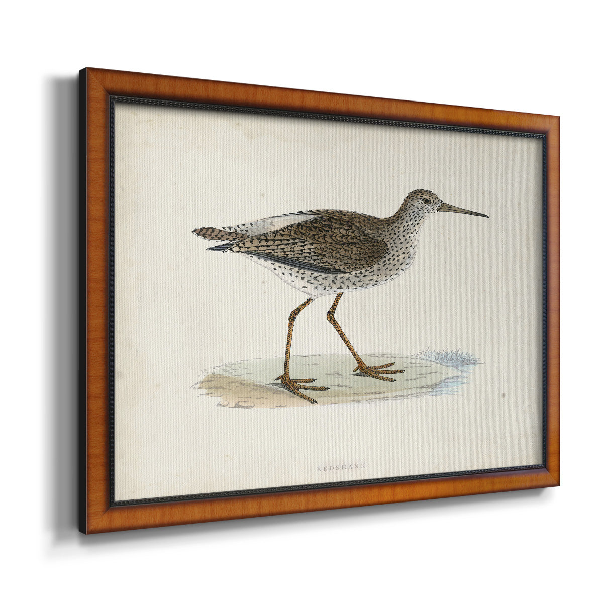 Morris Sandpipers V Premium Framed Canvas- Ready to Hang