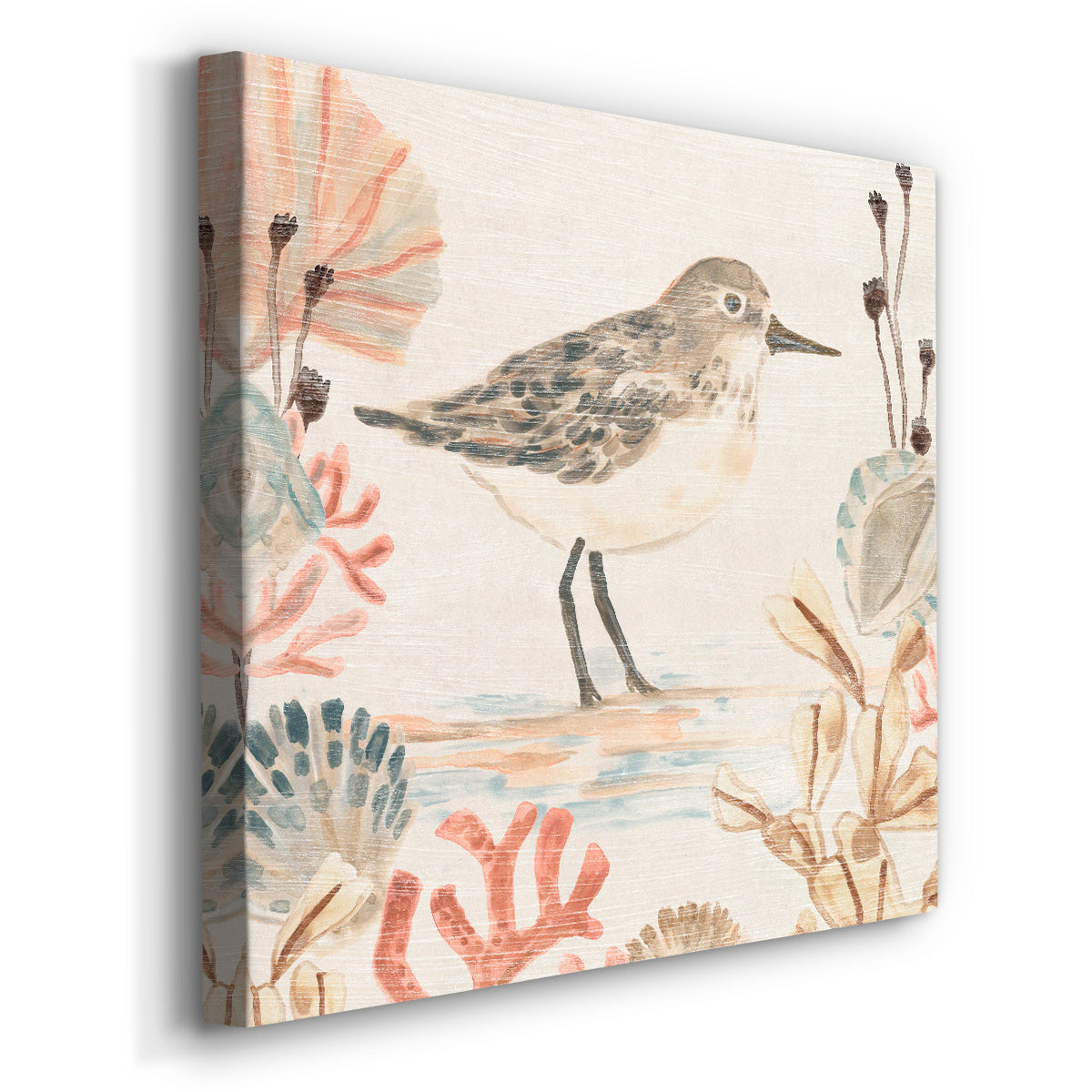 Shell Pipers I - Canvas Art Print