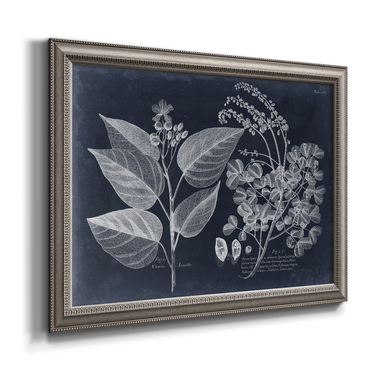 Decorative botanical foliage drawing on navy background printed on canvas in an ornate vintage silver frame.