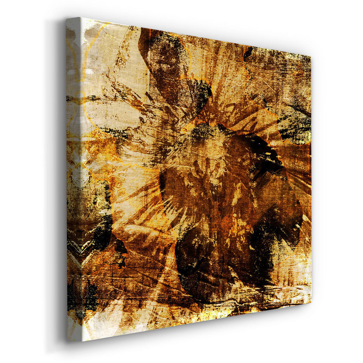 Poppy Gold II - Canvas Art Print