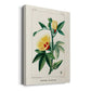 Turpin Tropical Botanicals VI Premium Gallery Wrapped Canvas - Ready to Hang