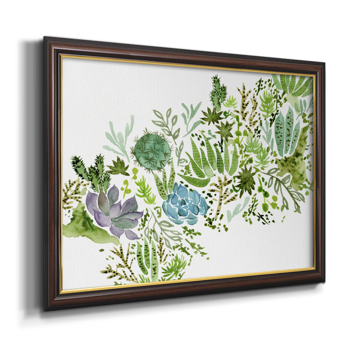 Succulent Field I Premium Framed Canvas- Ready to Hang