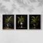 Floral Study Series LXXI - Restickable Framed Art Set