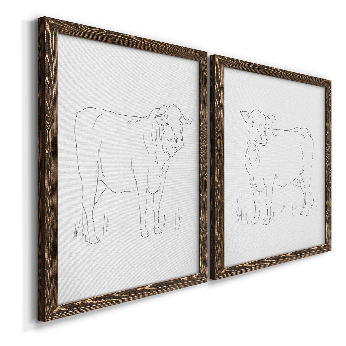Angled view of a set of two walnut barnwood framed canvas prints featuring two minimalist livestock sketches featuring simple contour drawings of standing cows.