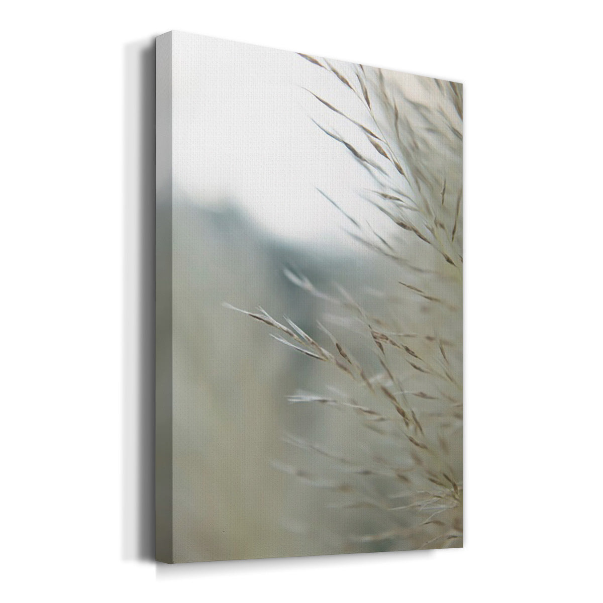 Subtle Grasses III - Canvas Art Print