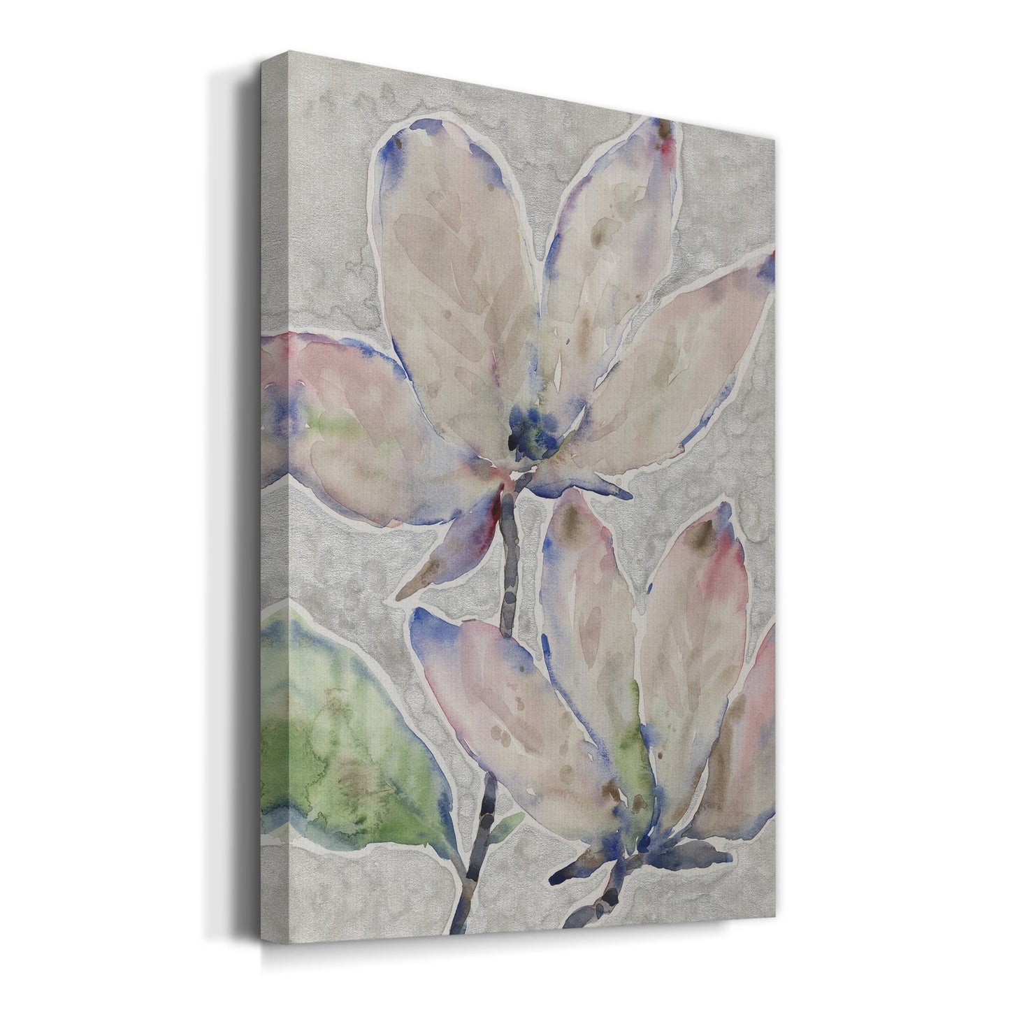 Blossom Study II Premium Gallery Wrapped Canvas - Ready to Hang