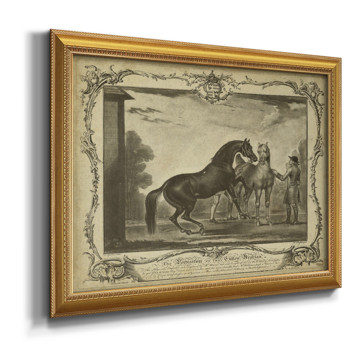 Distinguished Horses III Premium Framed Canvas- Ready to Hang