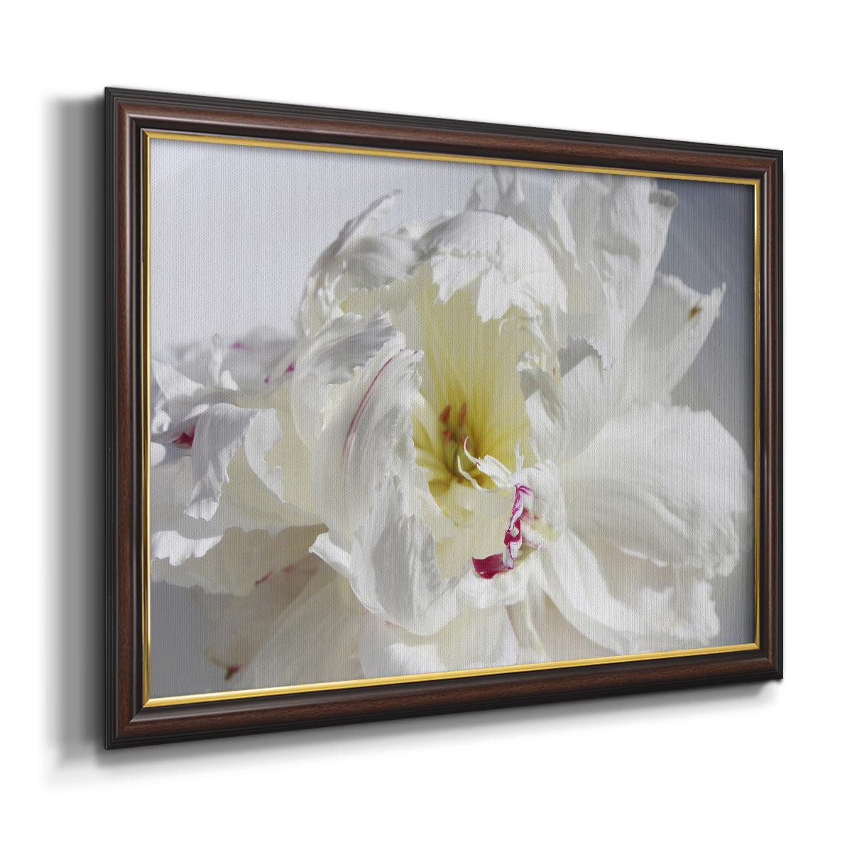 Breathless IV - Ornate Framed Canvas Print