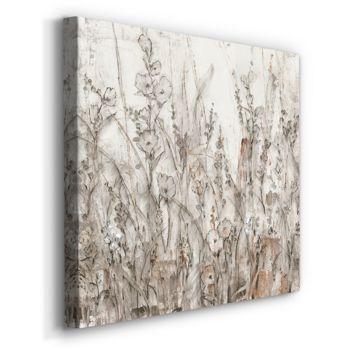 Shadows II - Canvas Art Print