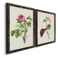 Pretty Pink Botanicals V - Barnwood Framed Canvas Set