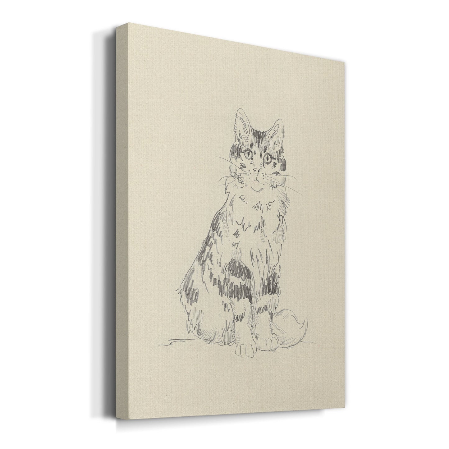 House Cat III Premium Gallery Wrapped Canvas - Ready to Hang