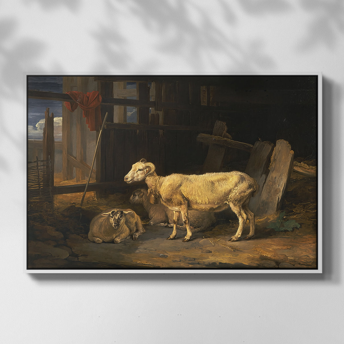 Sheep in a Stable, 1810 - Floater Framed Canvas Print