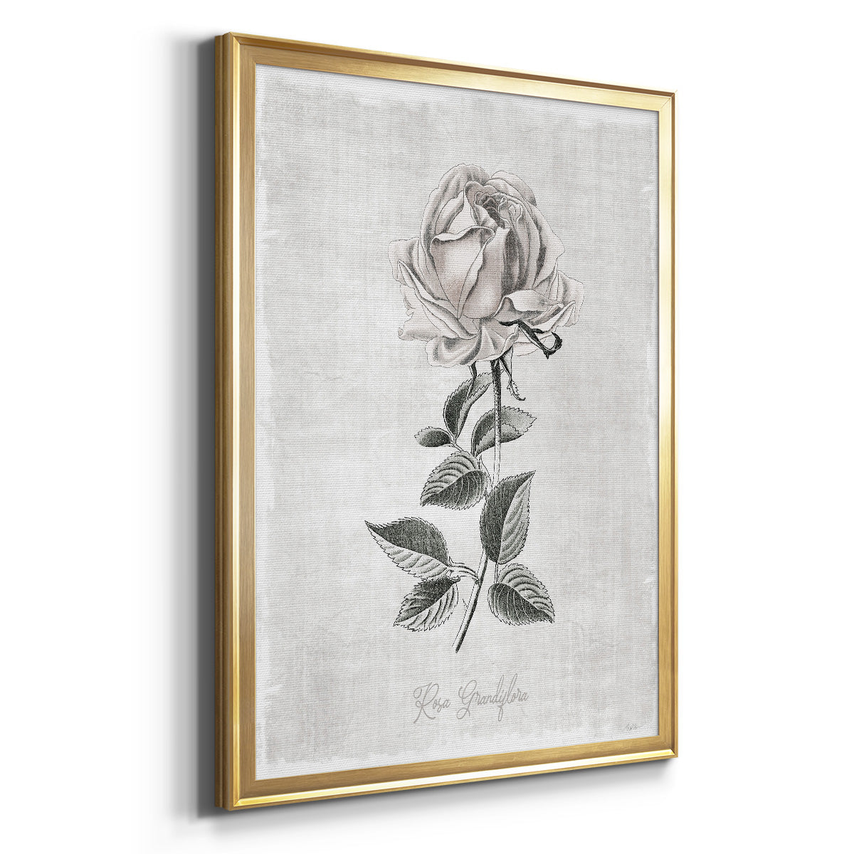 Vintage Botanical II - Modern Framed Canvas Print