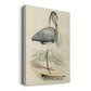 Embellished Antique Heron IV (ASH) Premium Gallery Wrapped Canvas - Ready to Hang