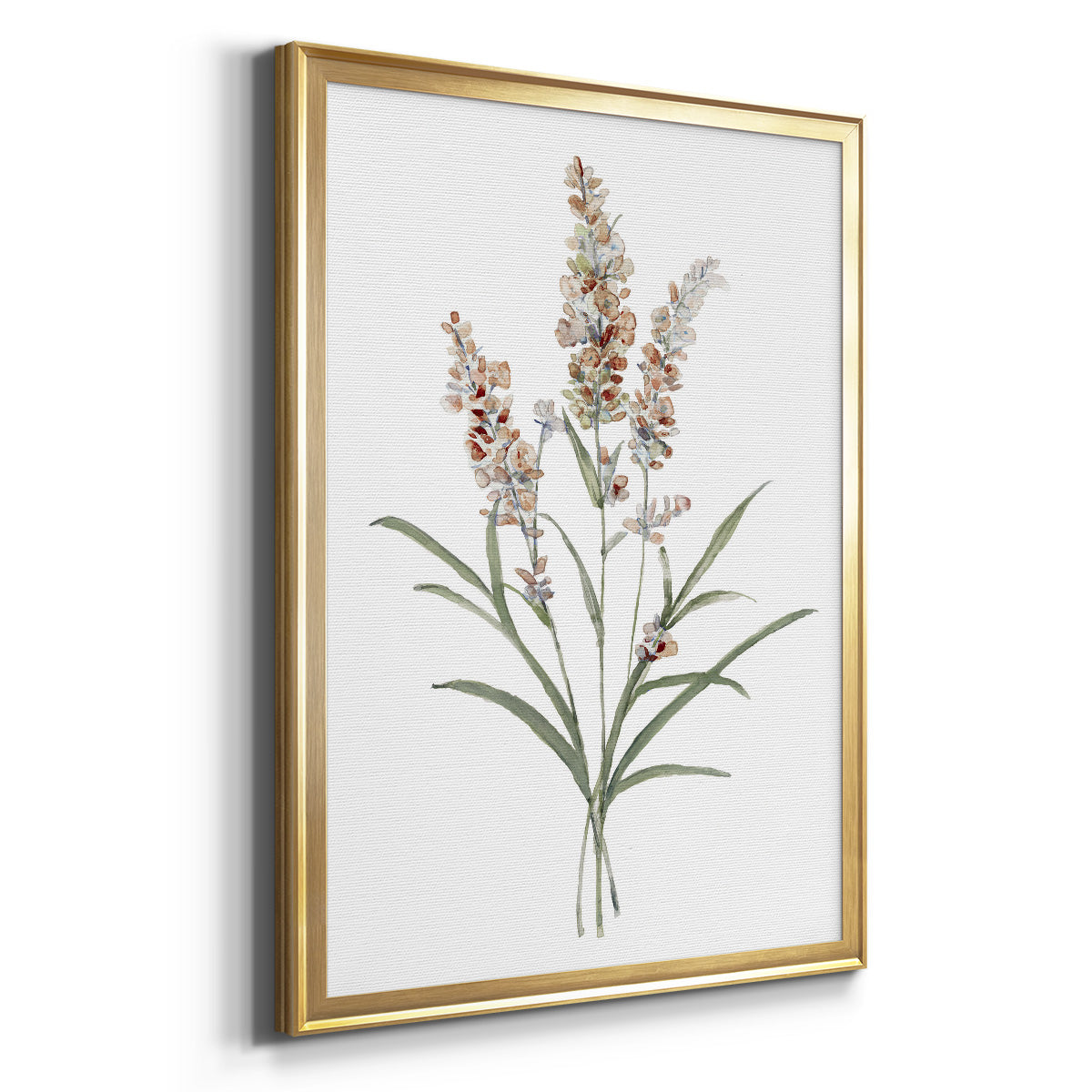 Dainty Botanical I - Modern Framed Canvas Print