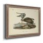 Audubons Brown Pelican - Ornate Framed Canvas Print