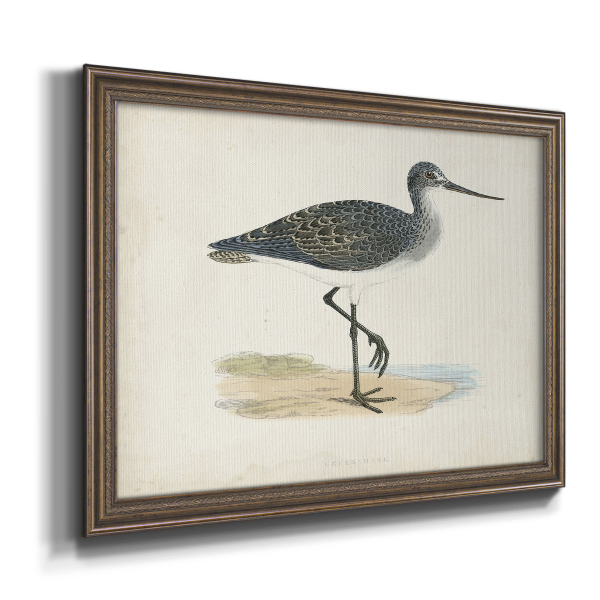 Morris Sandpipers III Premium Framed Canvas- Ready to Hang