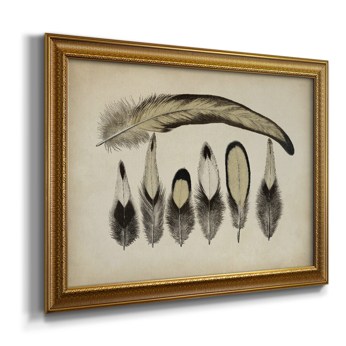 Vintage Feathers VII Premium Framed Canvas- Ready to Hang