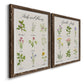 Herbs and Flowers - Premium Framed Canvas 2 Piece Set - Ready to Hang