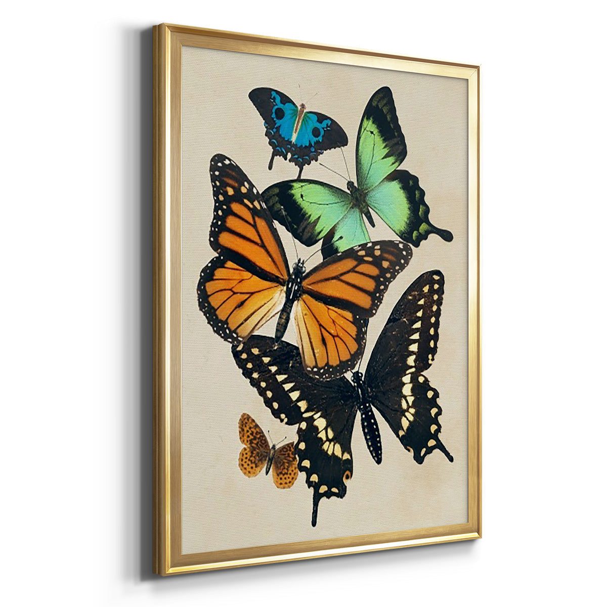 Collaged Butterflies I - Modern Framed Canvas Print