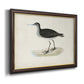 Morris Sandpipers VIII Premium Framed Canvas- Ready to Hang