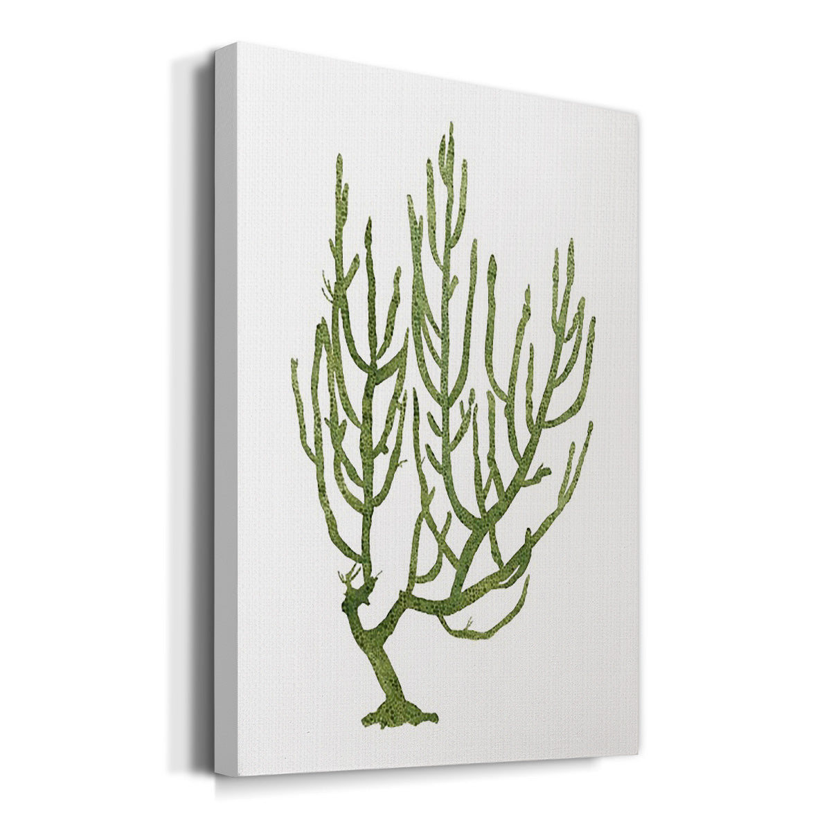 Coral Souvenirs III - Canvas Art Print