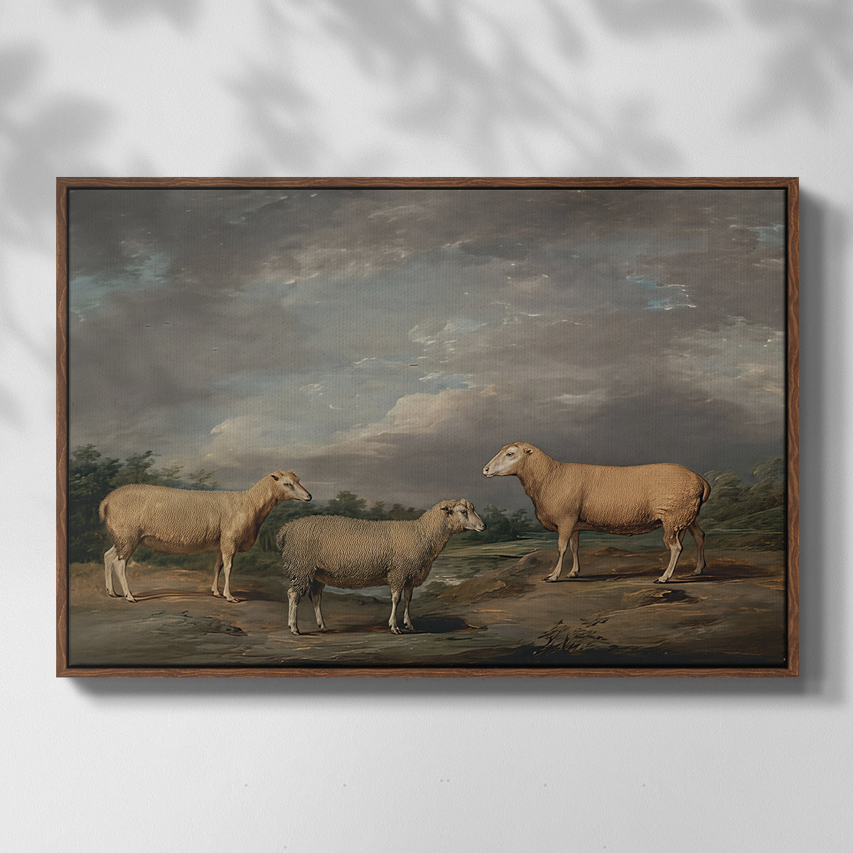 Ryelands Sheep, the King's Ram, the King's Ewe and Lord Somerville's Wether, c. 1801-1807 - Floater Framed Canvas Print