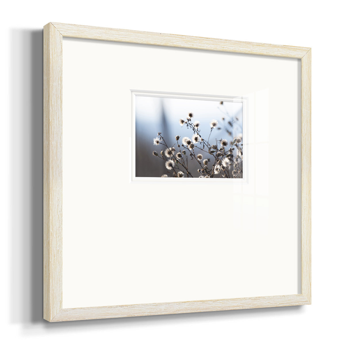 Spring Fluff - Double Matboard Framed Print